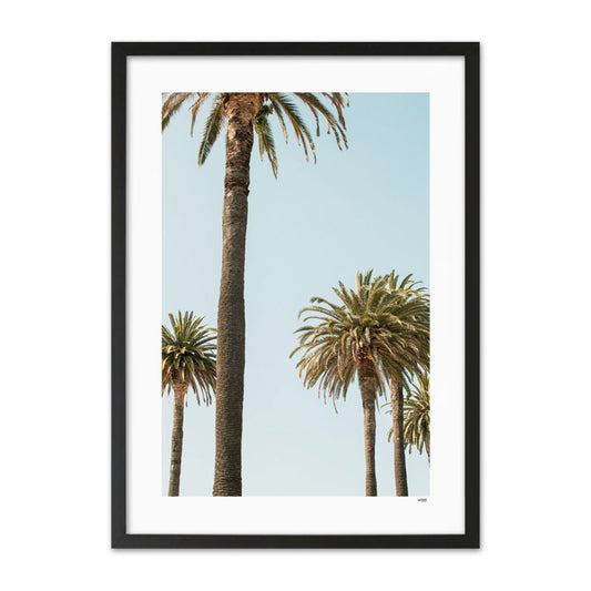 Mallorca Palmbomen Poster